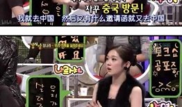 韩男星厌女言论爆料视频,引发社会热议与反思