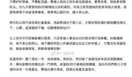 狗仔新闻爆料标题是什么,揭秘明星隐私背后的真相